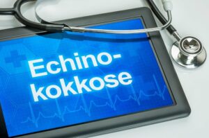 tablet zeigt das wort echinokokkose
