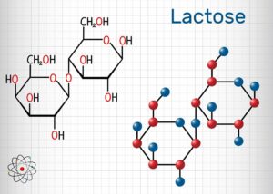 laktose molekuel
